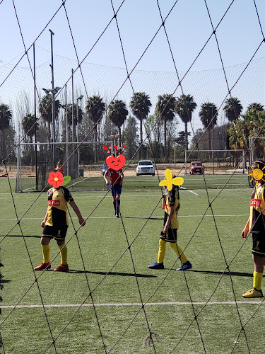 Opiniones de Rancho Rossi en Coquimbo - Campo de fútbol