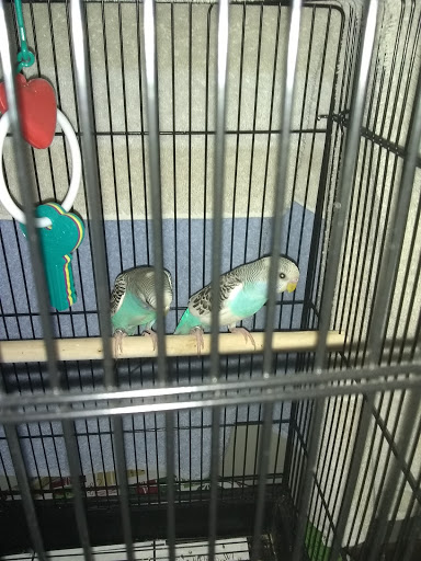 Pet Supply Store «Petco Animal Supplies», reviews and photos, 200 Edwards Blvd b, Lake Geneva, WI 53147, USA