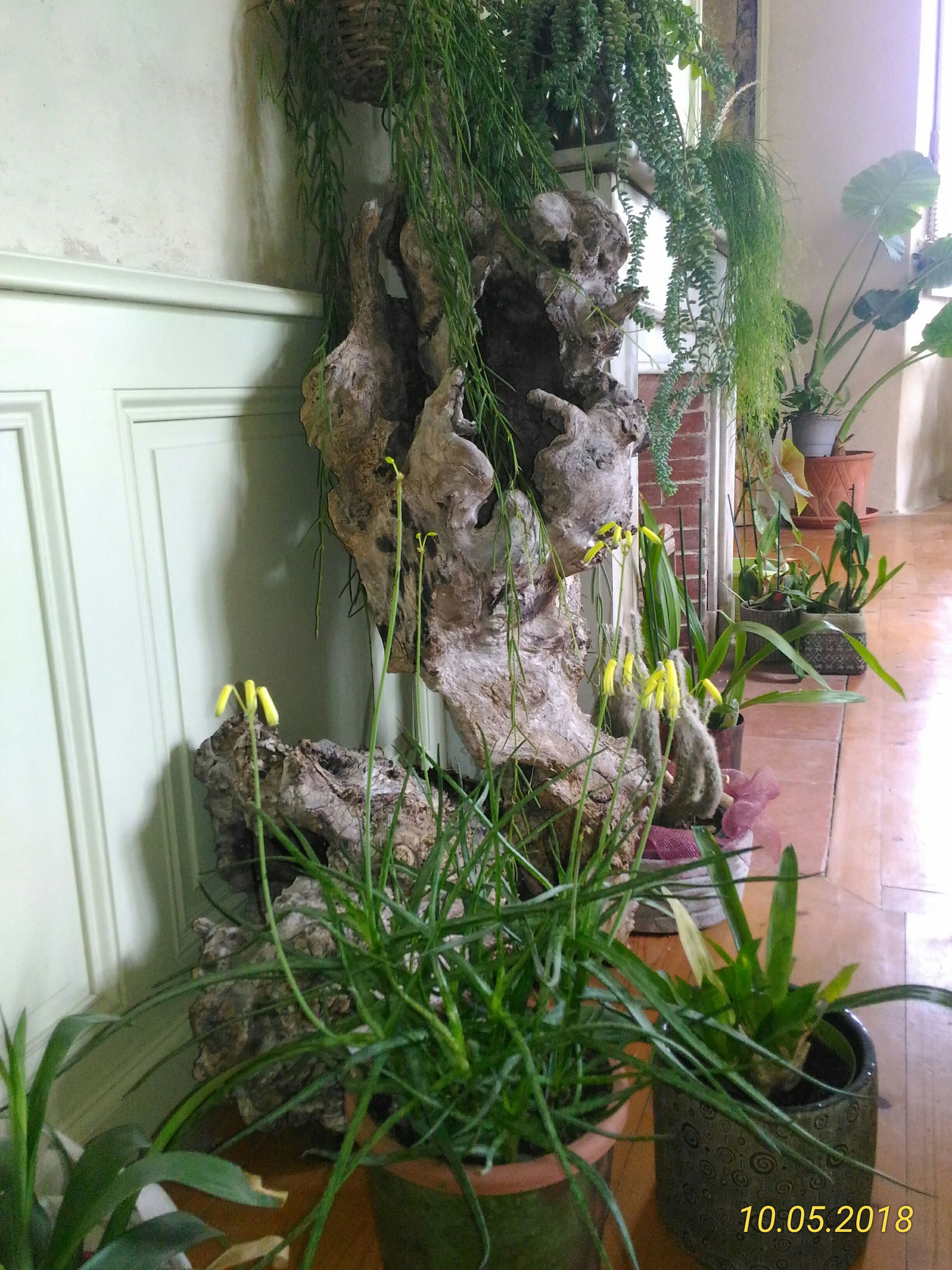 Photo n° 21 de l'avis de Marie.a fait le 13/05/2018 à 06:32