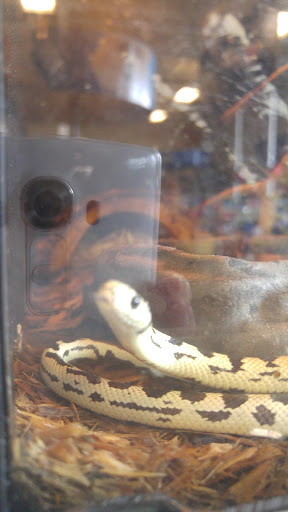 Pet Supply Store «PetSmart», reviews and photos, 170 Marketplace Blvd, Hamilton Township, NJ 08691, USA