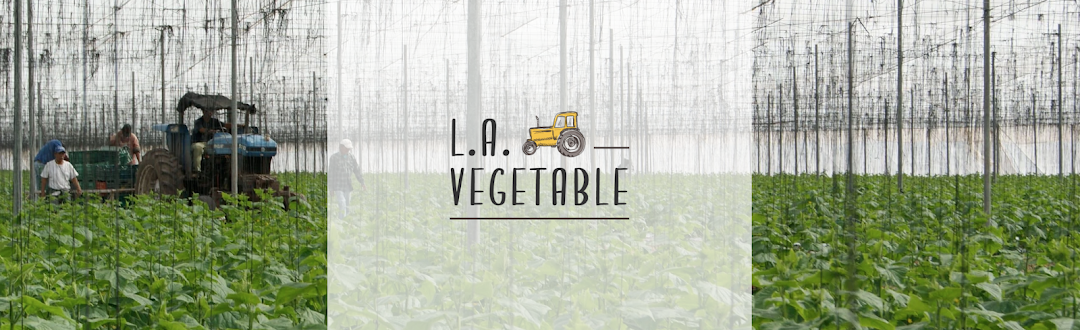 LA Vegetable Inc.