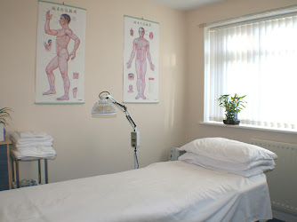 Acupuncture Therapy Chinese Acupuncturist