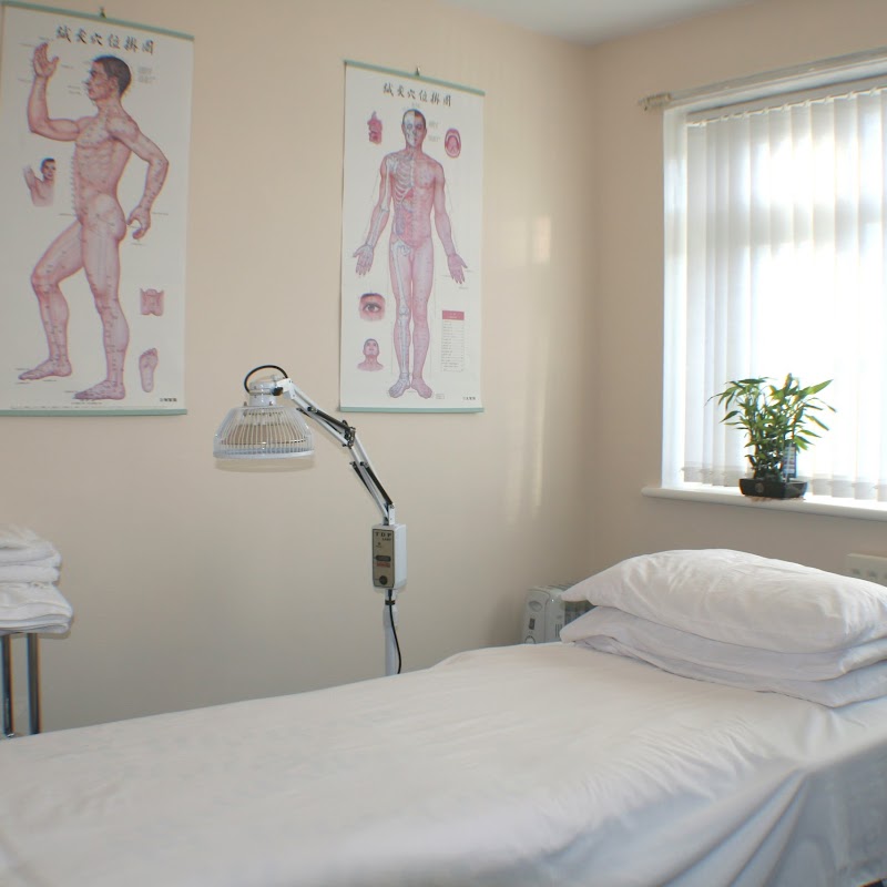 Acupuncture Therapy Chinese Acupuncturist