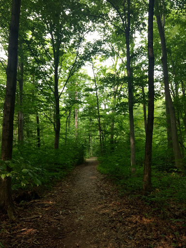 Nature Preserve «Burnett Woods», reviews and photos, 8264 E County Rd 100 S, Avon, IN 46123, USA