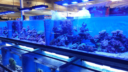 Pet Store «Ark Pet Shop», reviews and photos, 2400 W Lincoln Hwy, Merrillville, IN 46410, USA