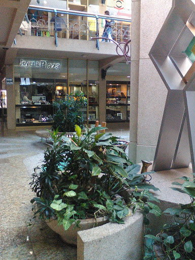 Mall Delicias Plaza
