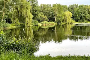 Stadtsee image