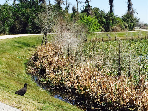 Park «Eagle Nest Park», reviews and photos, 5165 Metrowest Blvd, Orlando, FL 32811, USA