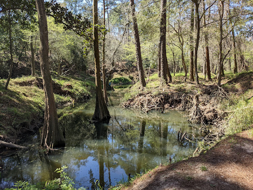 Park «Jim and JoAnn Fonteno Family Park», reviews and photos, 14350 1/2 Wallisville Rd, Houston, TX 77049, USA