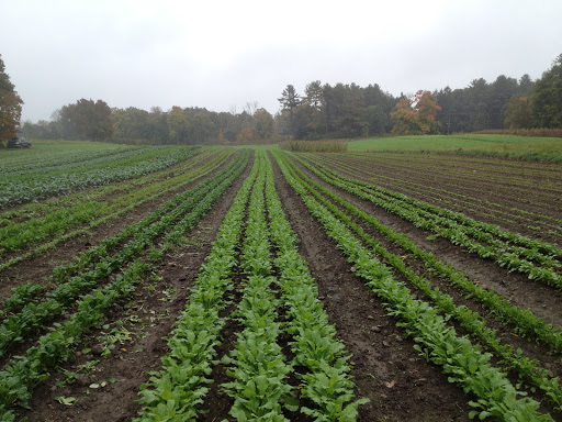 Langwater Farm, 209 Washington St, North Easton, MA 02356, USA, 