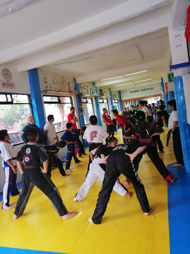 Sport karate Mass Oyama México