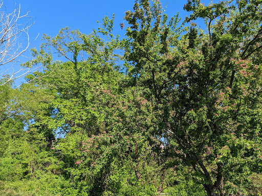 Museum «Hudson River Museum», reviews and photos, 511 Warburton Ave, Yonkers, NY 10701, USA