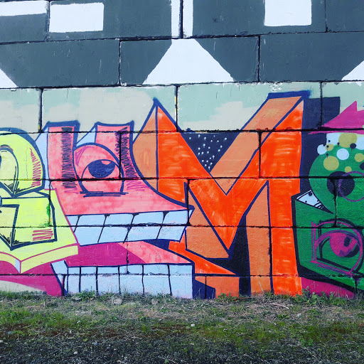 Nature Preserve «Black River Riparian Forest and Wetland», reviews and photos, Oakesdale Ave SW, Renton, WA 98057, USA