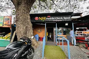 NH Chick Spot image