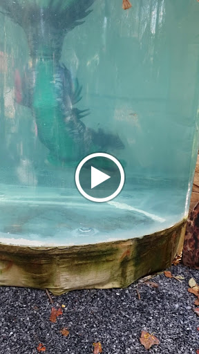 Festival «Pennsylvania Renaissance Faire», reviews and photos, 2775 Lebanon Rd, Manheim, PA 17545, USA