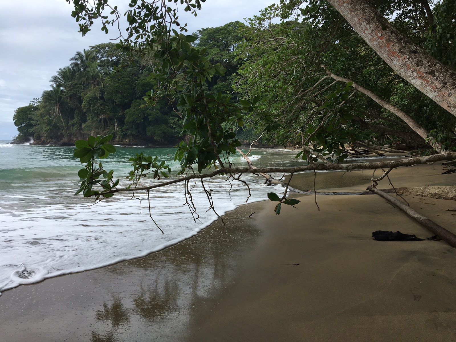 Foto von Playa Cahuita und die siedlung