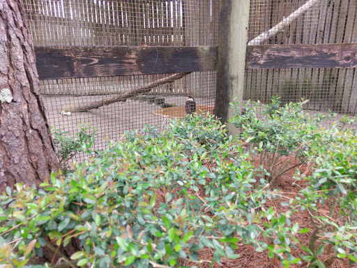 Zoo «Audubon Center for Birds of Prey», reviews and photos, 1101 Audubon Way, Maitland, FL 32751, USA