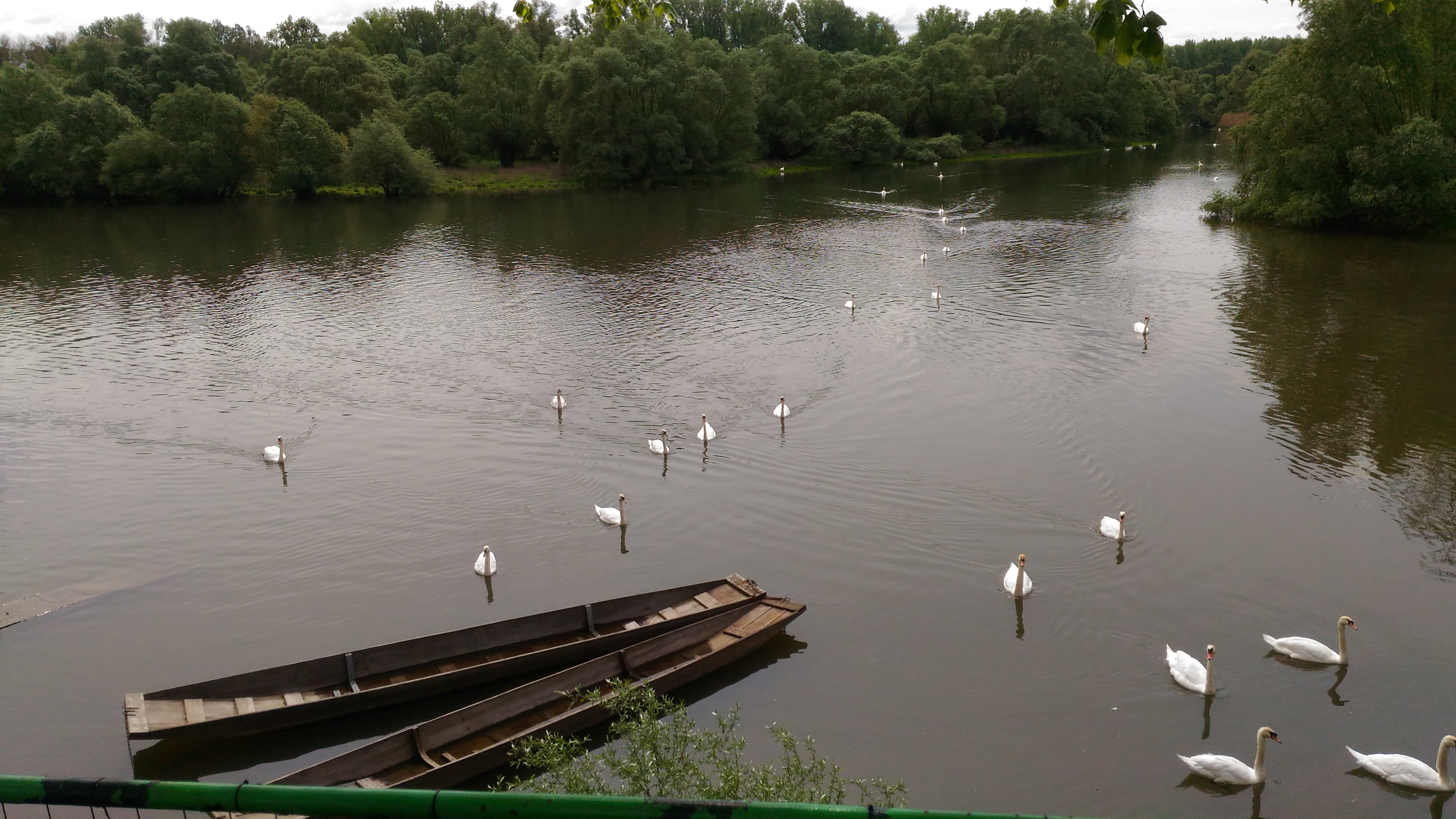 Photo n° 1 de l'avis de Dario.i fait le 09/05/2019 à 19:49