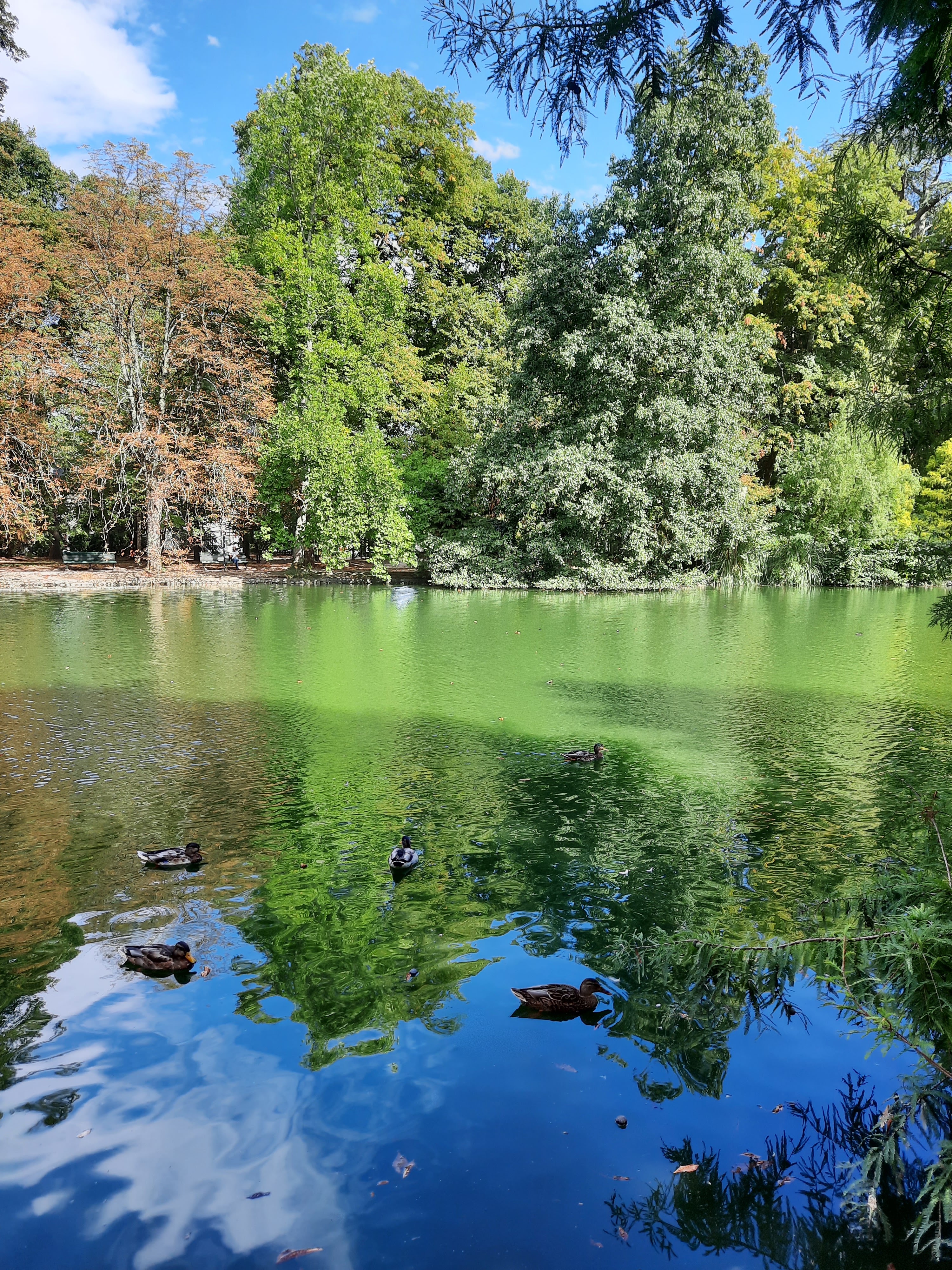 Photo n° 4 de l'avis de Cl.o fait le 02/10/2022 à 19:08