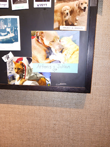 Starbucks image