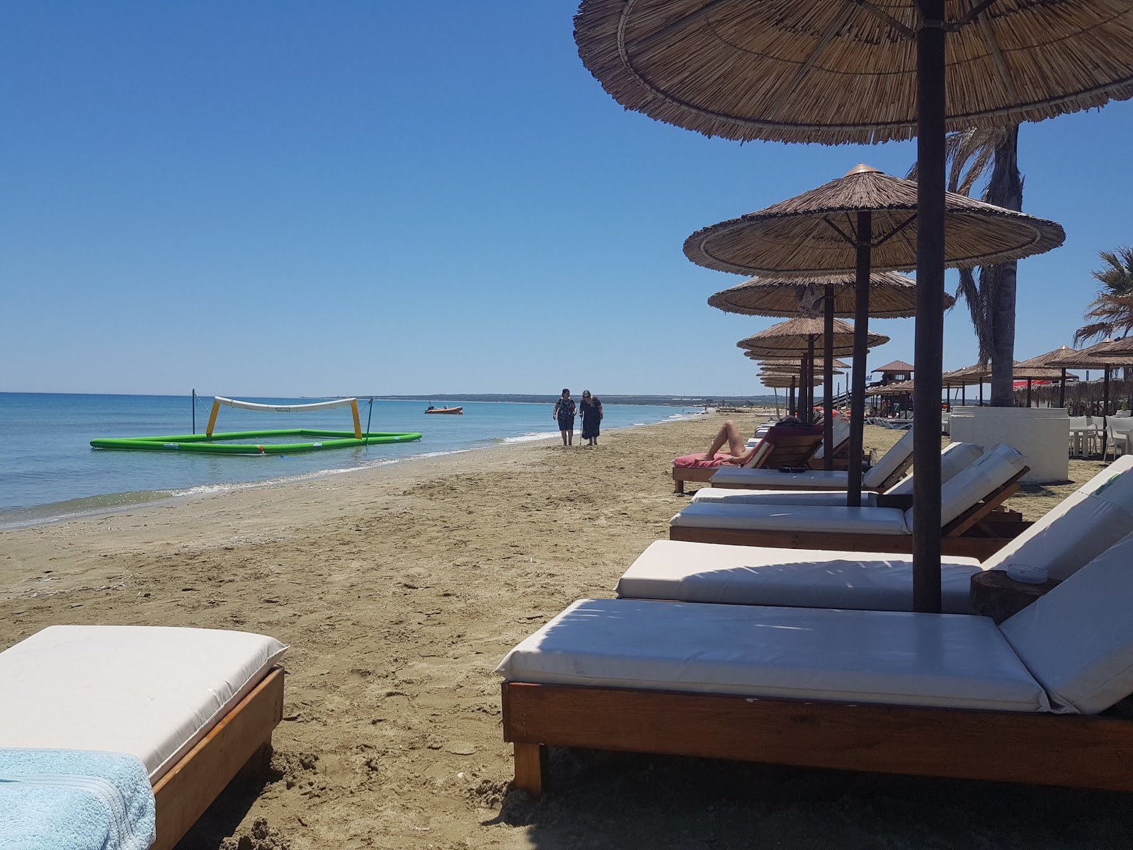 Lady's Mile beach'in fotoğrafı imkanlar alanı