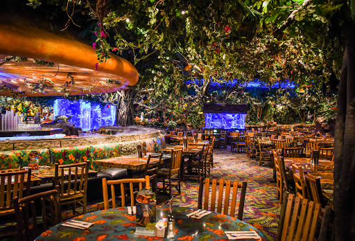 Rainforest Cafe