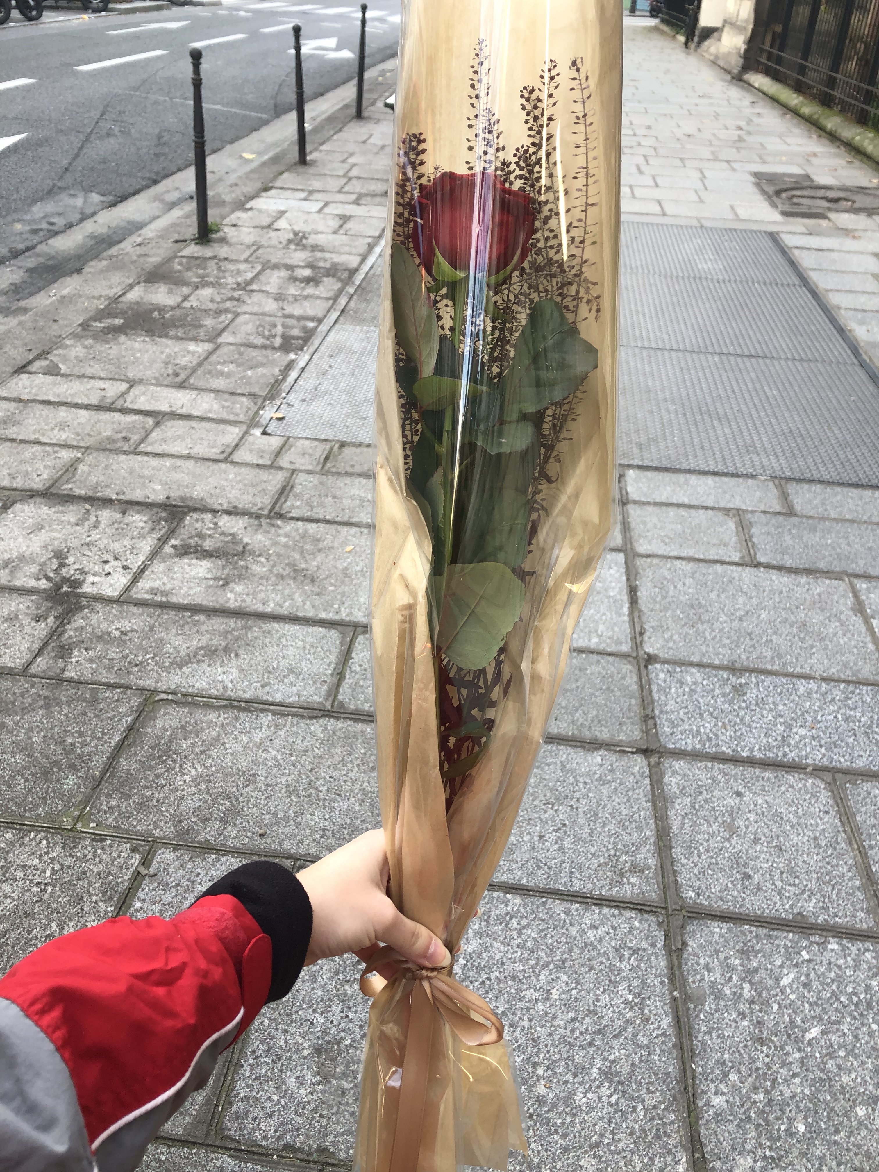 Photo n° 1 de l'avis de lea.r fait le 18/12/2022 à 22:55