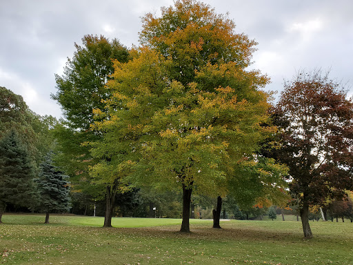 Golf Course «Arcadia Hills Golf Course», reviews and photos, 3801 Haines Rd, Attica, MI 48412, USA