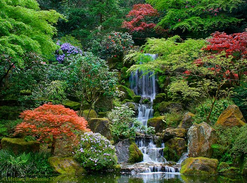 Picture of a place: Portland Japanese Garden