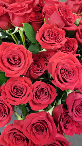 Florist «Conrad the Florist», reviews and photos, 924 Township Line Rd, Elkins Park, PA 19027, USA