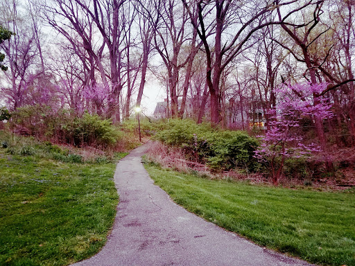 Park «Burnet Woods», reviews and photos, 3251 Brookline Ave, Cincinnati, OH 45220, USA