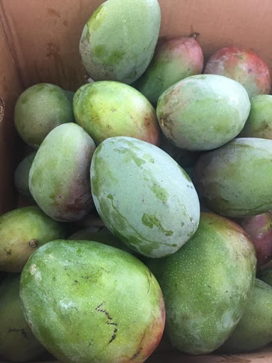 Asian Grocery Store «Asian Supermarket & Gifts Inc», reviews and photos, 4295 E Main St, Columbus, OH 43213, USA