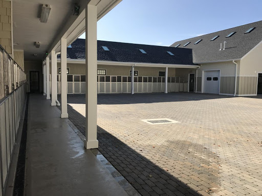 River Valley Animal Center image