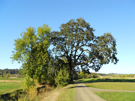 Golf Club «Cross Creek Golf Course», reviews and photos, 13935 OR-22, Dallas, OR 97338, USA