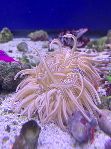 Pet Store «Oak Park Natural Pet & Fish», reviews and photos, 23 N Harlem Ave, Oak Park, IL 60302, USA