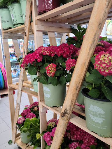 Supermarket «ALDI», reviews and photos, 761 E Dundee Rd, Palatine, IL 60074, USA