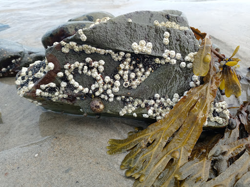 Casino «One Casino Square Shopping Center», reviews and photos, 393 Mile Rd, Wells, ME 04090, USA