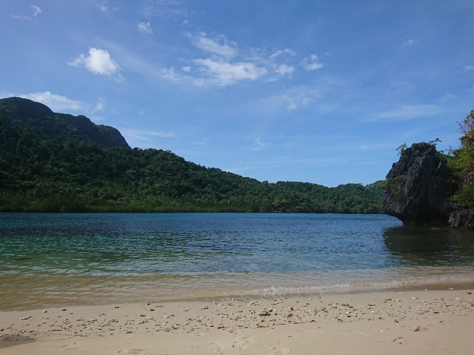 Bakal Island的照片 位于自然区域