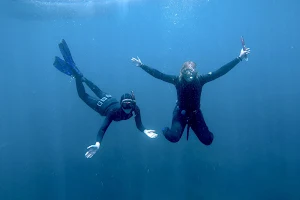 SPOT FREEDIVE - Freediving Portugal image