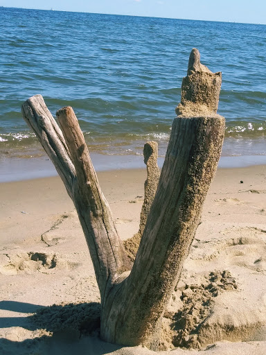 Produce Market «Miller Farms», reviews and photos, 10140 Piscataway Rd, Clinton, MD 20735, USA