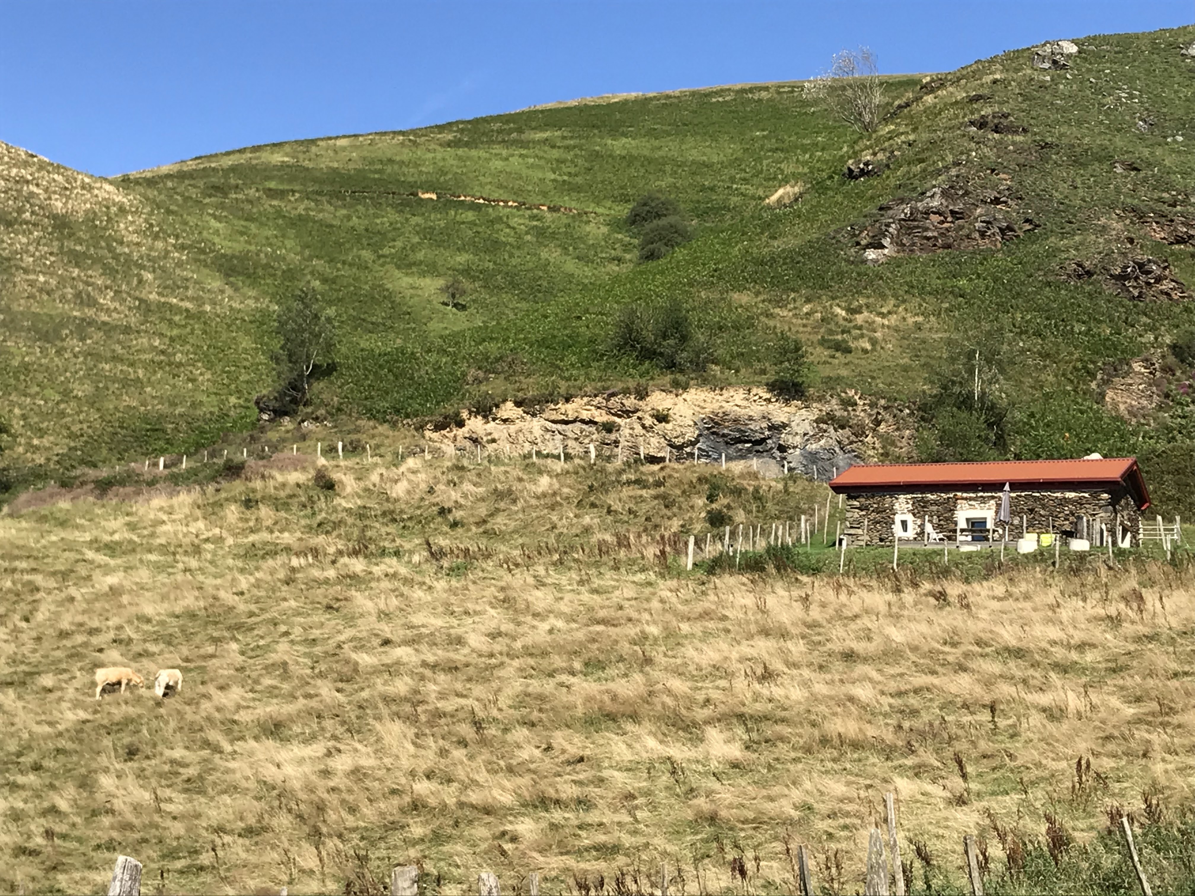 Photo n° 3 de l'avis de E.l fait le 23/05/2020 à 08:19