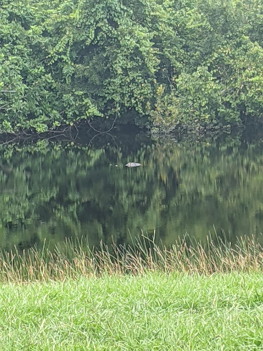 Golf Club «Scepter Golf Club reservations», reviews and photos, 1226 Newpoint Loop, Sun City Center, FL 33573, USA