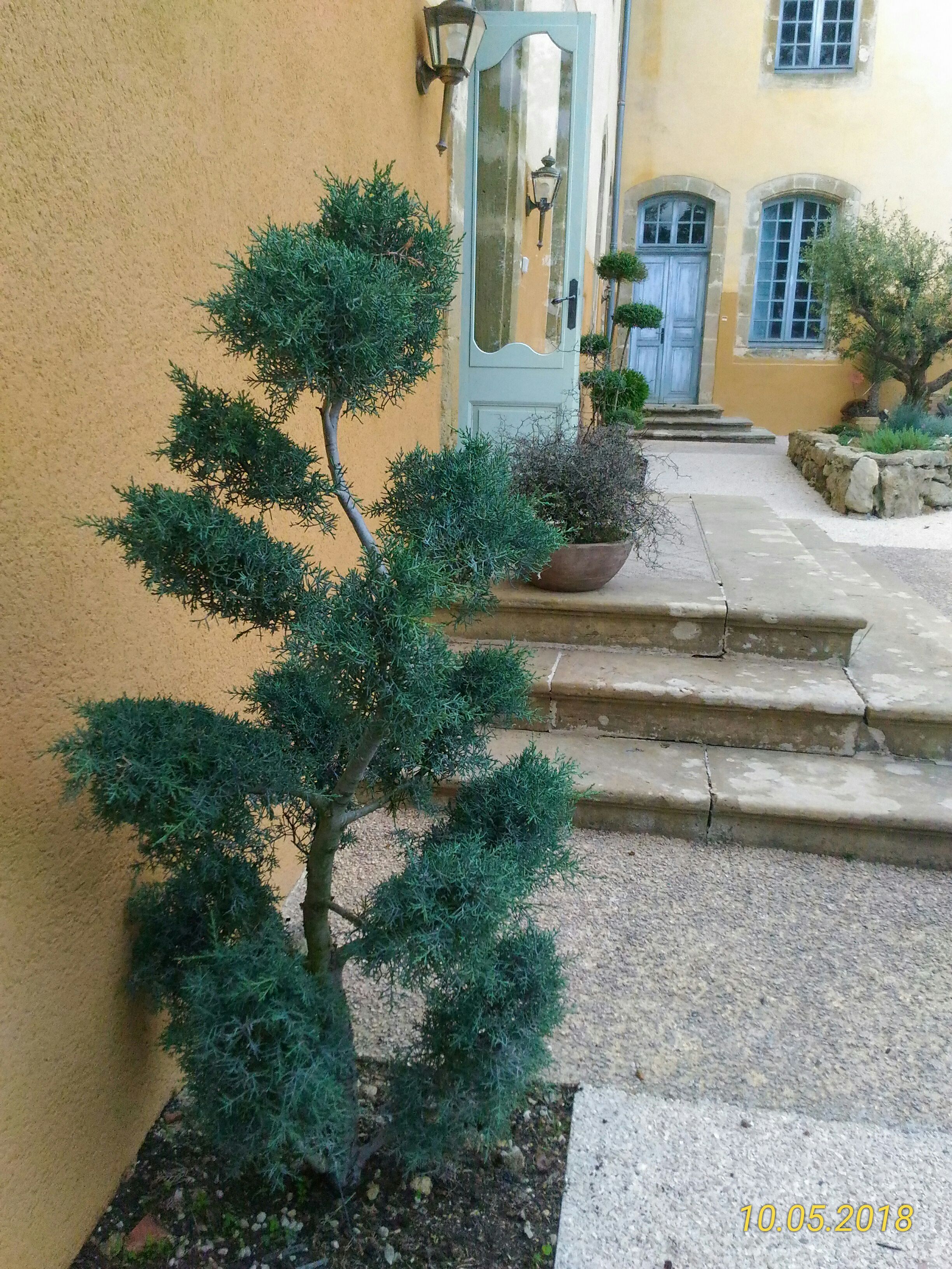 Photo n° 12 de l'avis de Marie.a fait le 13/05/2018 à 06:32