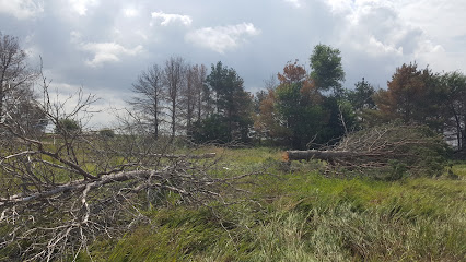 Rheome Tree, LLC