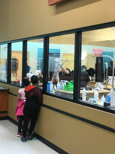 Pet Supply Store «PetSmart», reviews and photos, 5 Mystic View Rd, Everett, MA 02149, USA