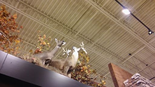 Outdoor Sports Store «Field & Stream», reviews and photos, 60 Old Mill Blvd, Washington, PA 15301, USA