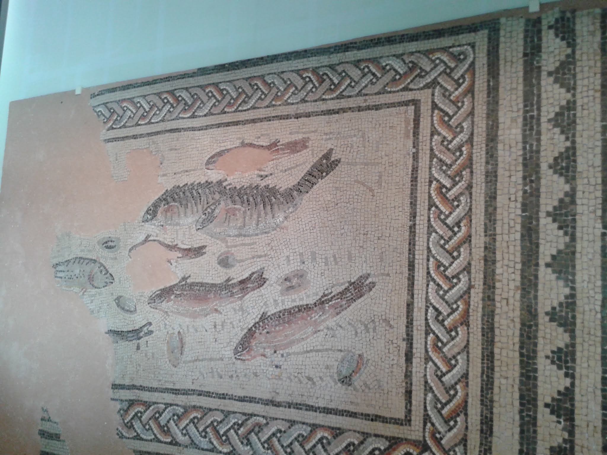 Photo n° 2 de l'avis de Laurie.I fait le 21/01/2020 à 14:22