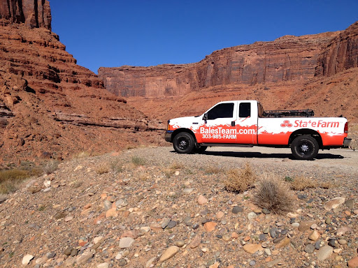 Auto Insurance Agency «State Farm: Randy Bales», reviews and photos