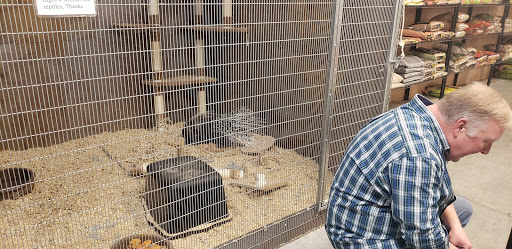 Pet Store «Exotic Pets», reviews and photos, 2410 N Decatur Blvd #160, Las Vegas, NV 89108, USA