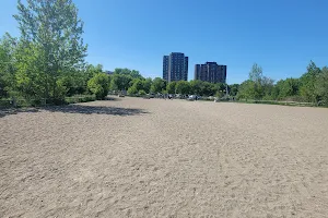 Marie Curtis Dog Park image